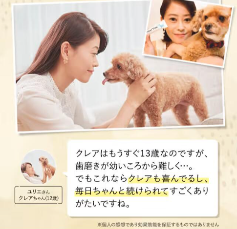 Dr.Wantect 効果イメージ